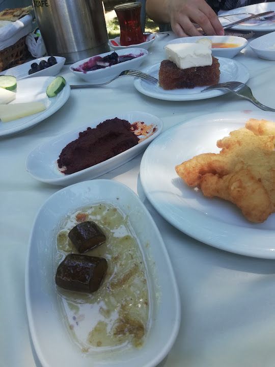 Fotoğraf 41