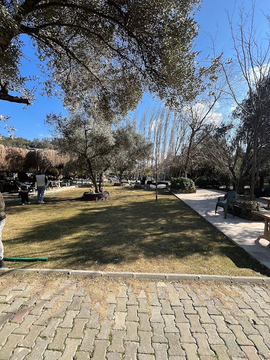 Yorum fotoğrafı 2