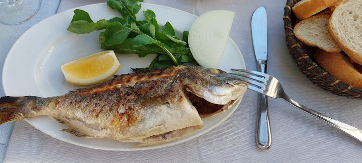 Fotoğraf 41
