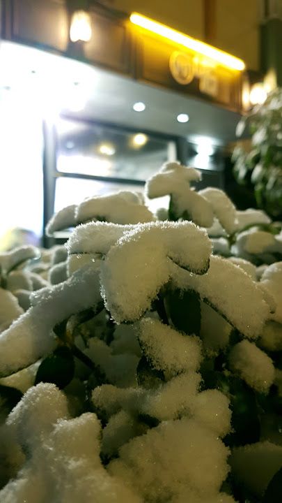 Fotoğraf 22