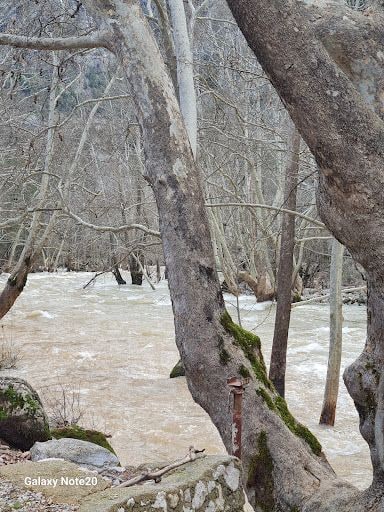Yorum fotoğrafı 8