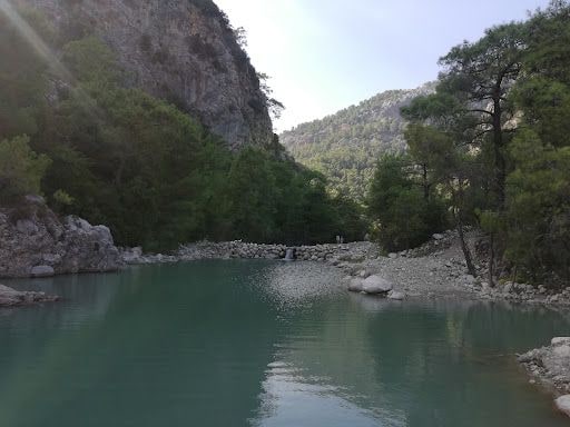 Yorum fotoğrafı 5