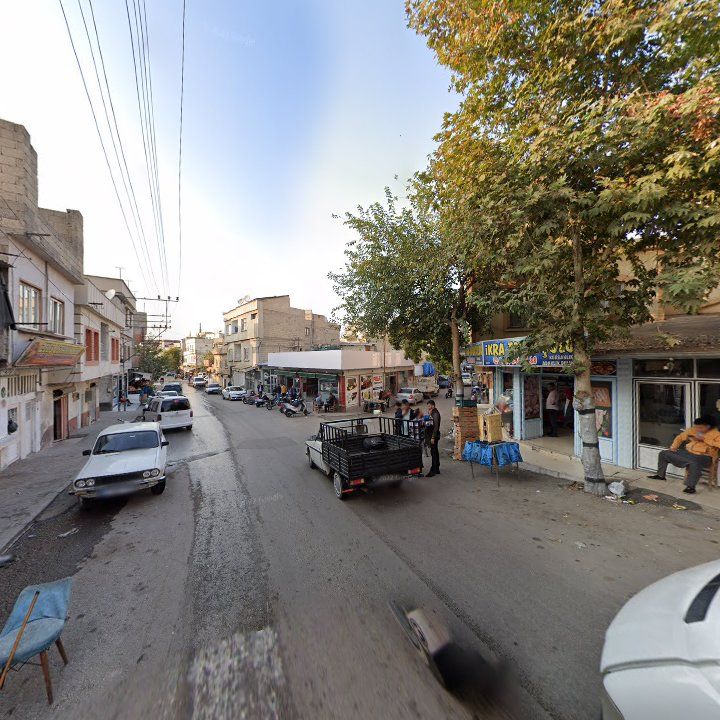 Fotoğraf 3