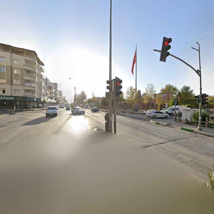 Fotoğraf 9
