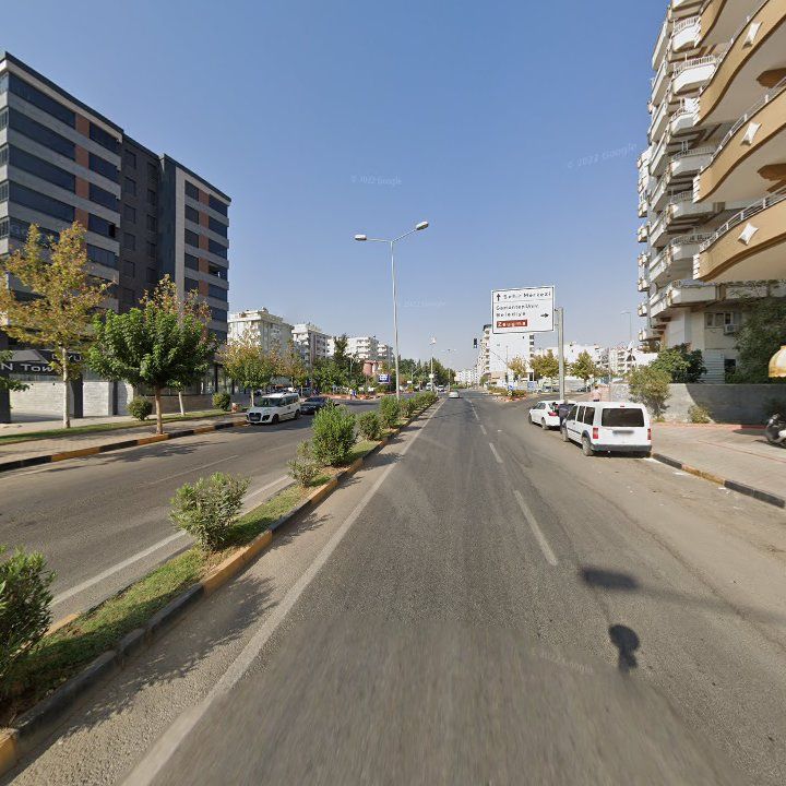 Fotoğraf 10