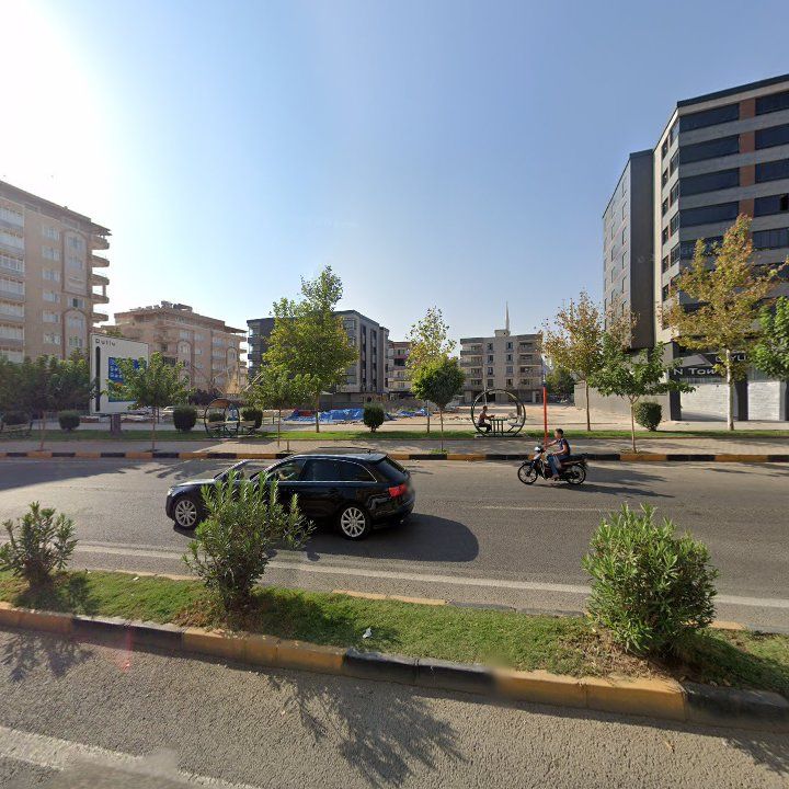 Fotoğraf 9