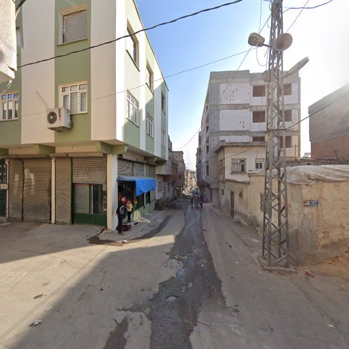Fotoğraf 7