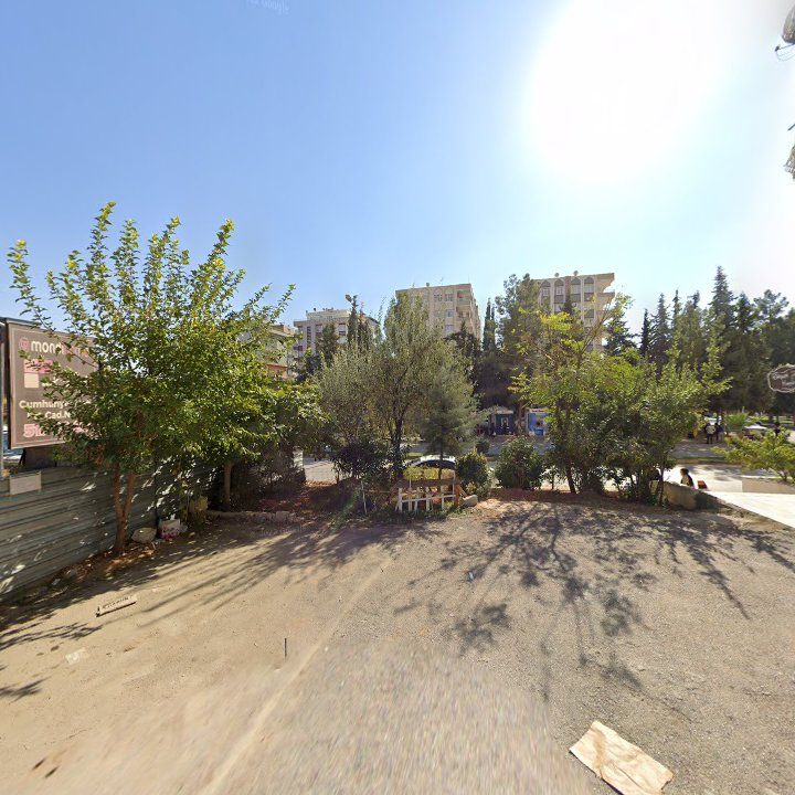 Fotoğraf 8