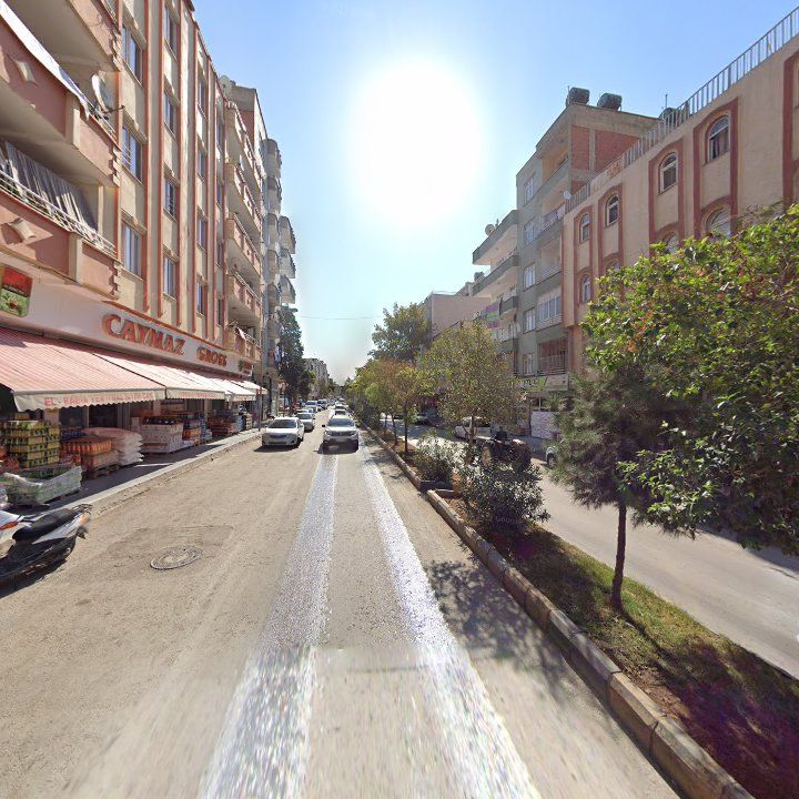 Fotoğraf 3
