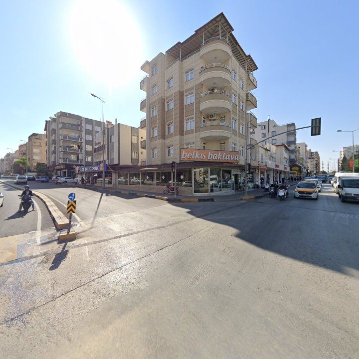 Fotoğraf 11