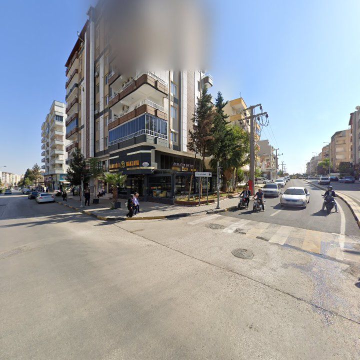 Fotoğraf 14