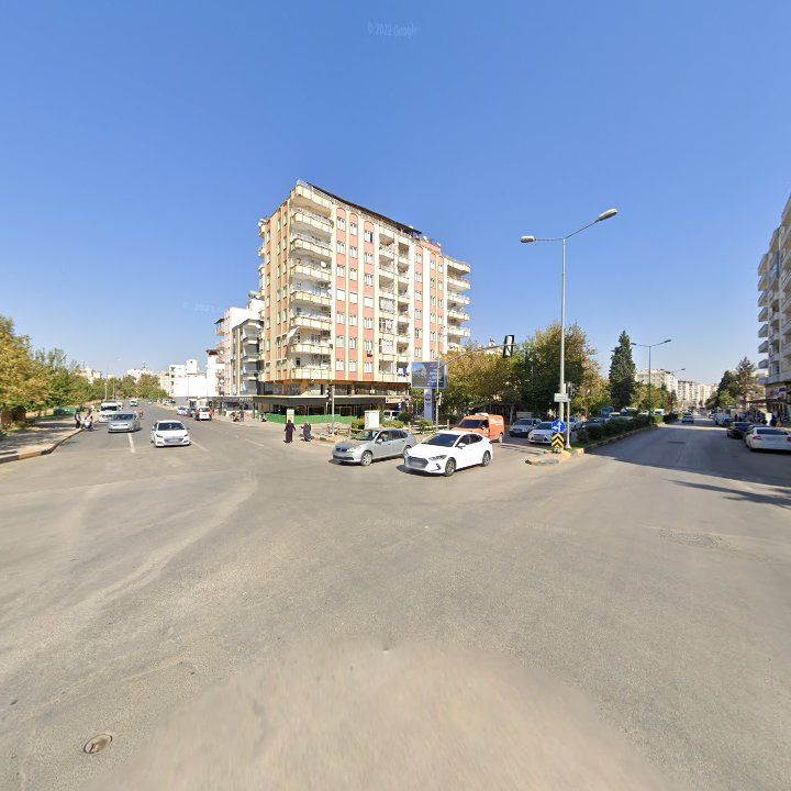 Fotoğraf 13