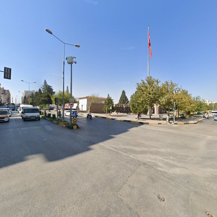 Fotoğraf 12