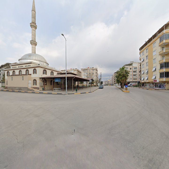 Fotoğraf 7
