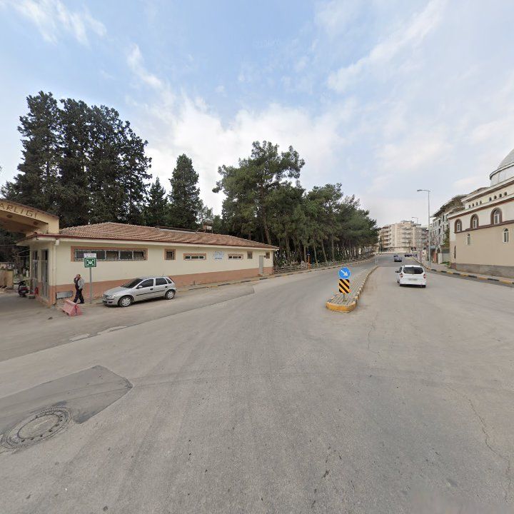 Fotoğraf 6