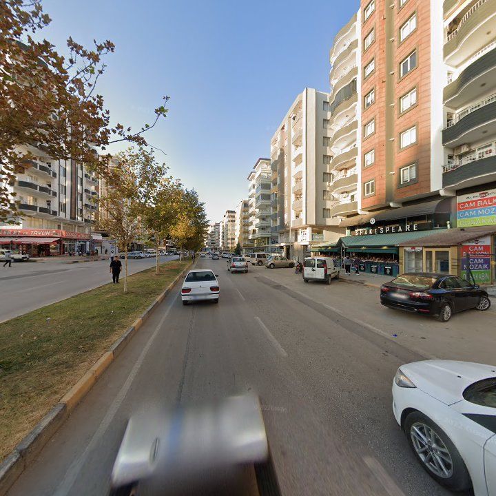 Fotoğraf 7