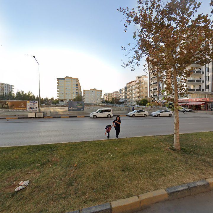 Fotoğraf 6
