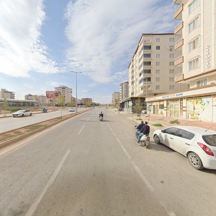 Fotoğraf 8