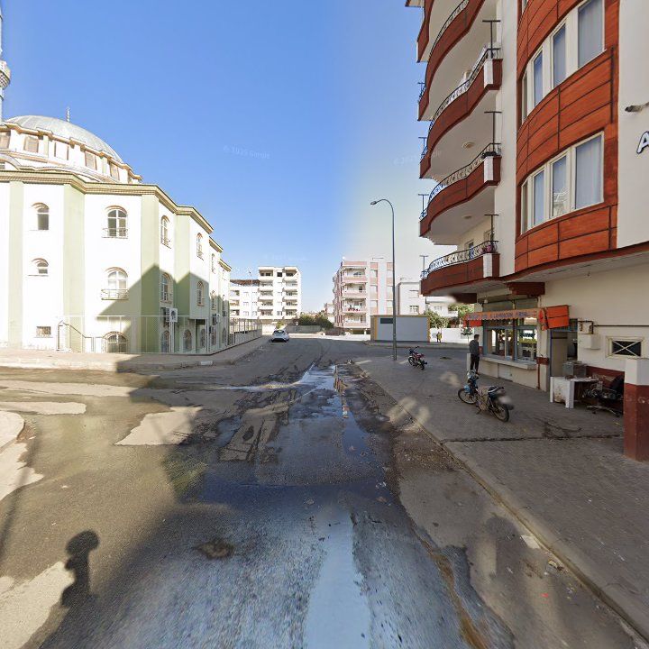Fotoğraf 5