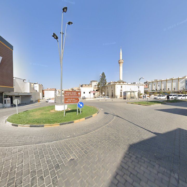 Fotoğraf 9