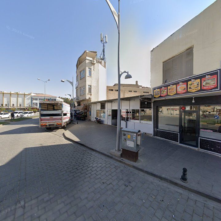 Fotoğraf 6