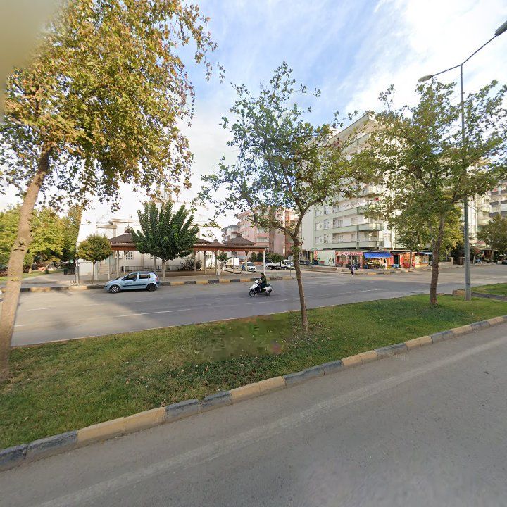 Fotoğraf 9
