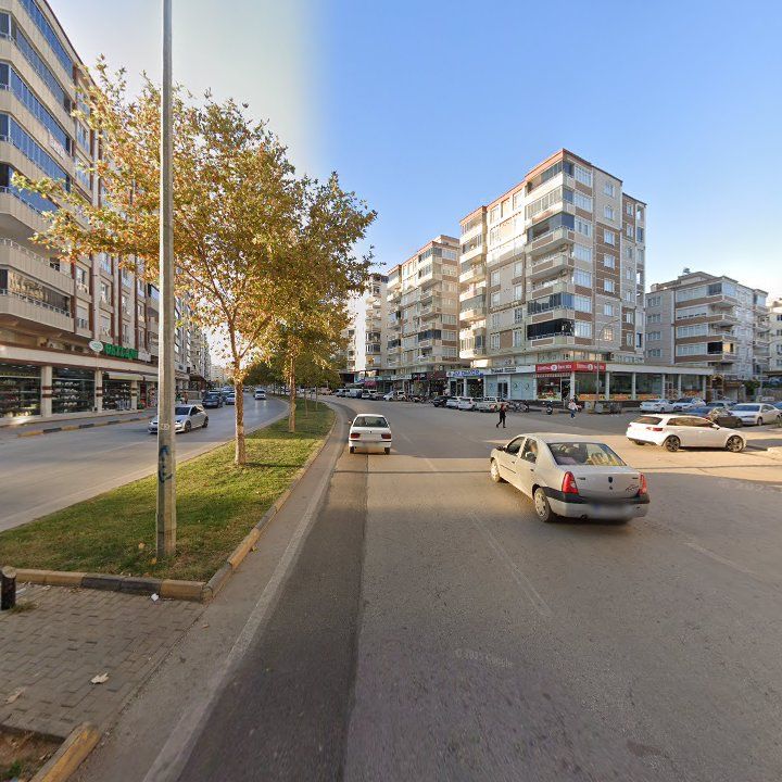 Fotoğraf 7