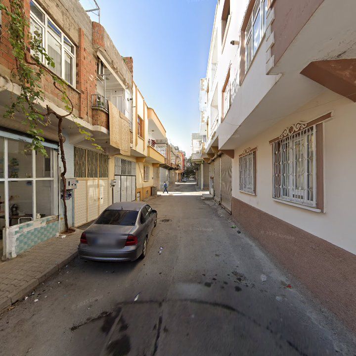 Fotoğraf 5