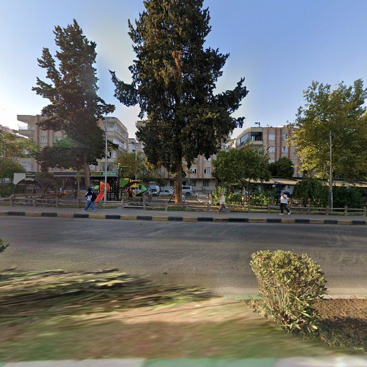 Fotoğraf 3