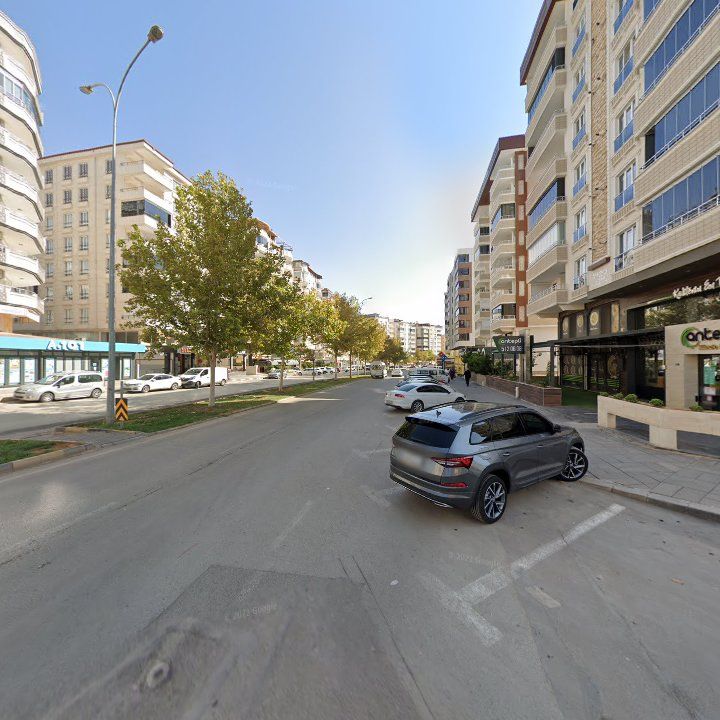 Fotoğraf 8