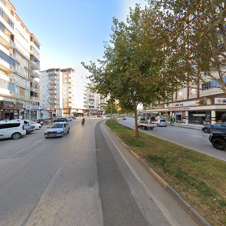 Fotoğraf 6