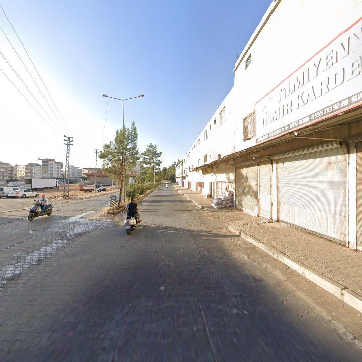Fotoğraf 8