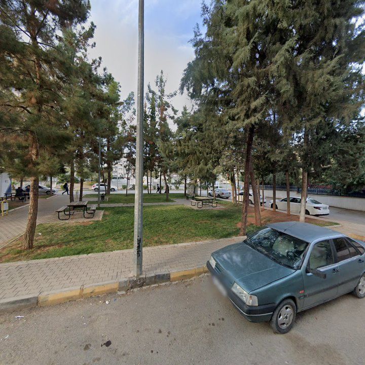 Fotoğraf 7