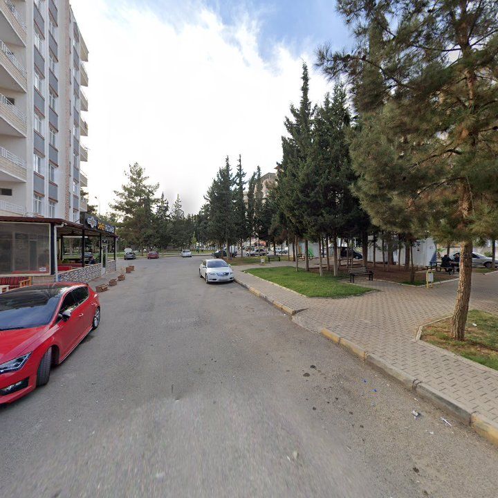 Fotoğraf 6
