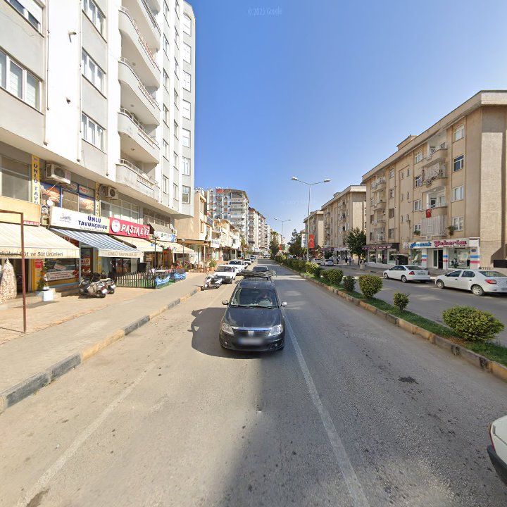 Fotoğraf 12