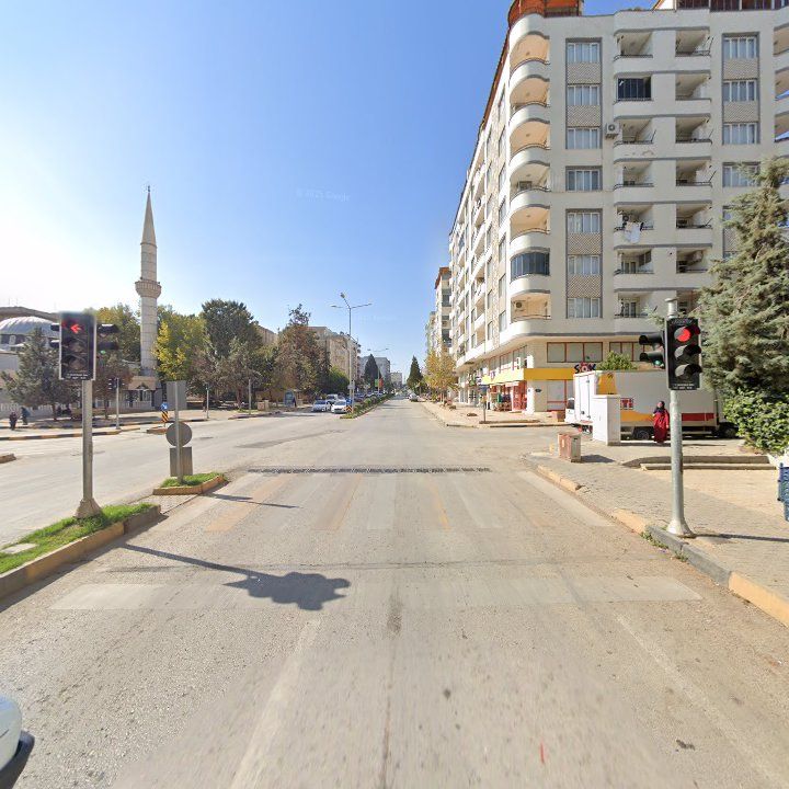 Fotoğraf 10