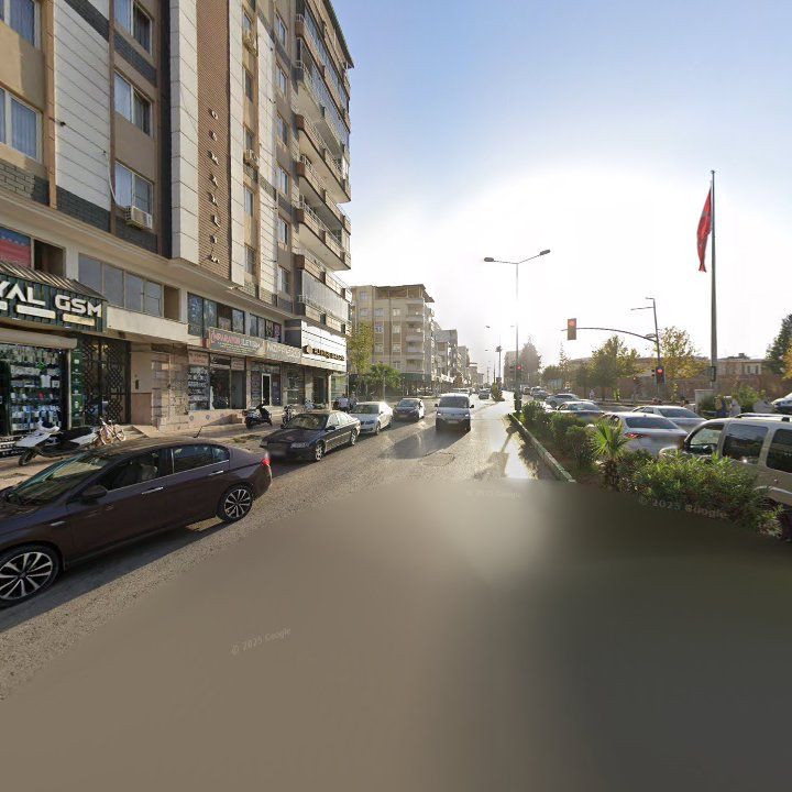 Fotoğraf 9