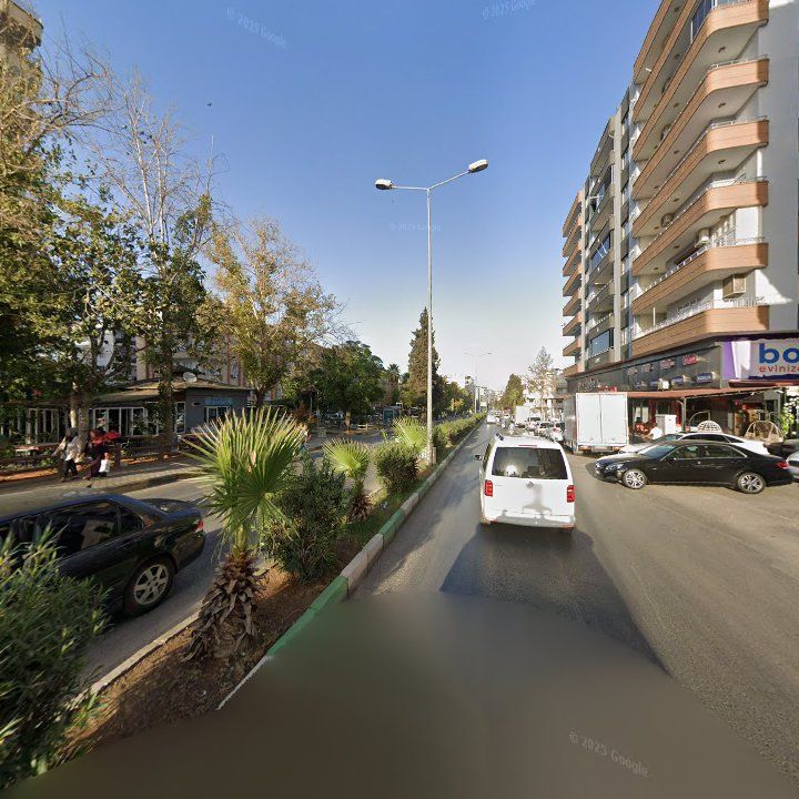 Fotoğraf 11