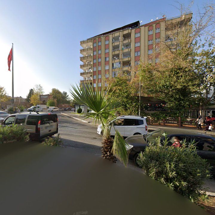 Fotoğraf 10