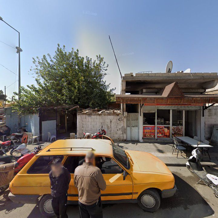 Fotoğraf 3
