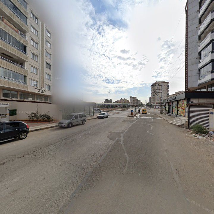 Fotoğraf 8