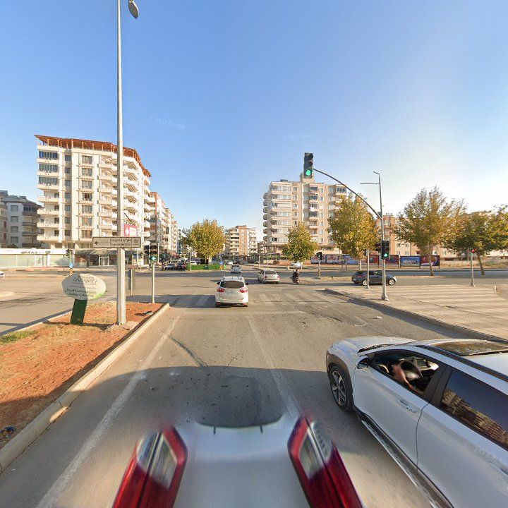 Fotoğraf 8