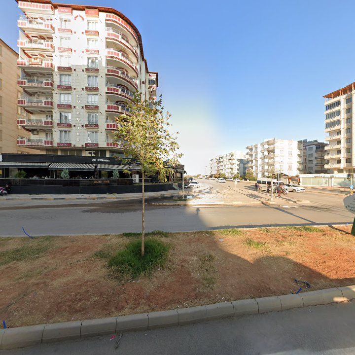 Fotoğraf 7
