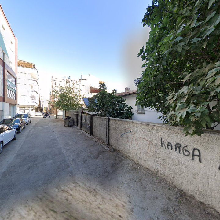 Fotoğraf 7