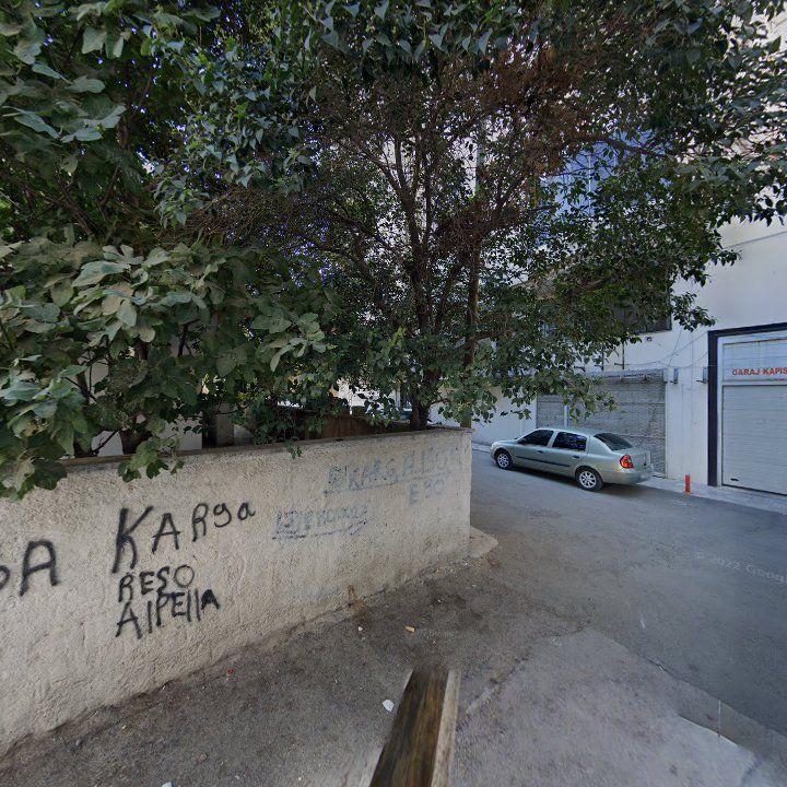 Fotoğraf 8
