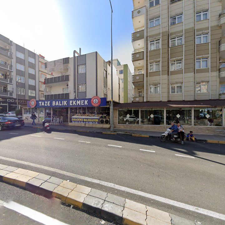 Fotoğraf 3