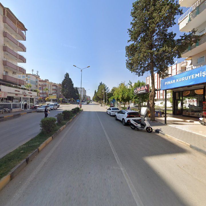 Fotoğraf 6