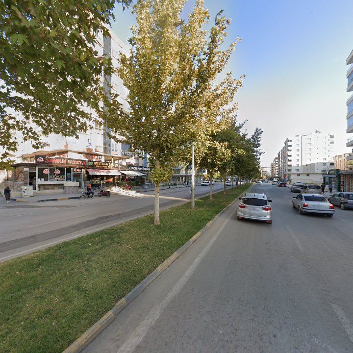 Fotoğraf 10