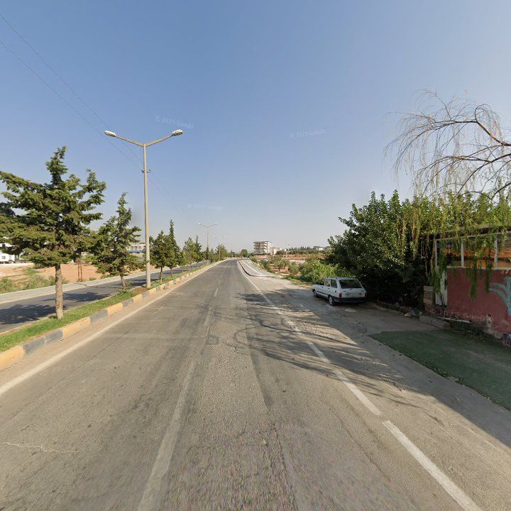 Fotoğraf 6