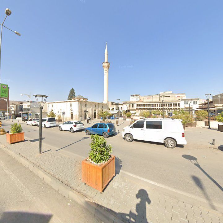 Fotoğraf 6